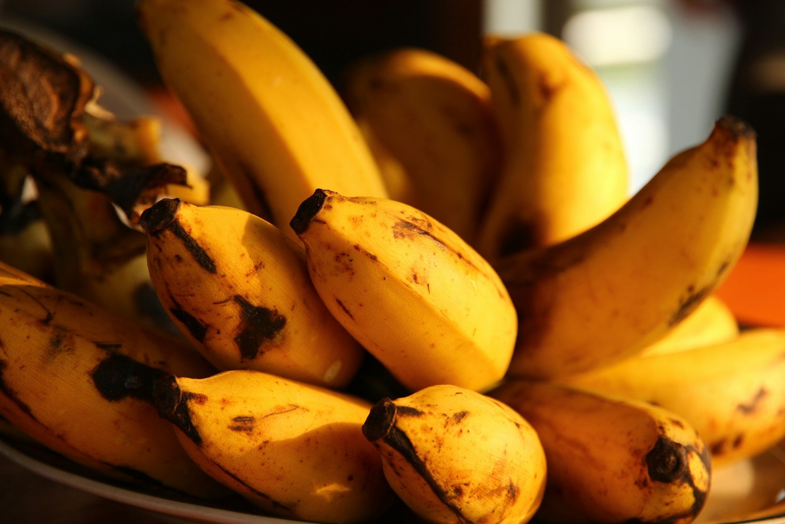The Best Pre- and Post-Workout Meals for Maximum Results